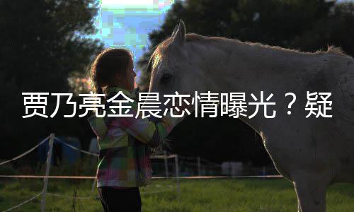 疑深夜约住同光贾乃家一酒店亮金晨恋会 情曝